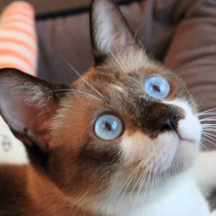 108b87f7 34d6 4152 9243 a5f46bb272ea