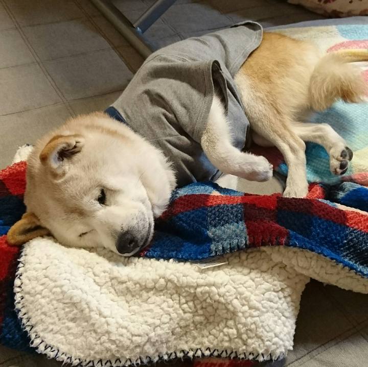 108bbddc 0c32 4fba ae21 1631013cef36