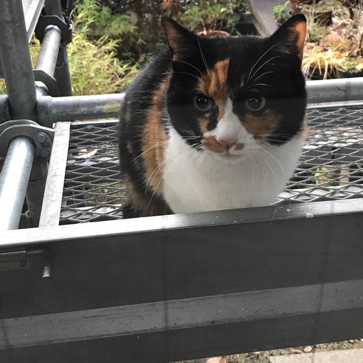 108c5bf6 0fe2 46c3 b495 9fb7bc057d48