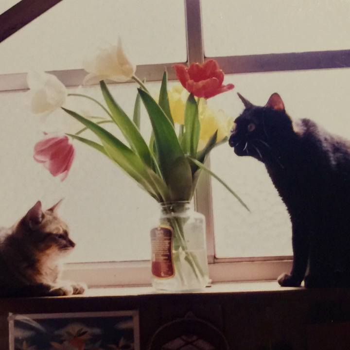 108db4d7 a46d 4acf a515 93724f6390f5