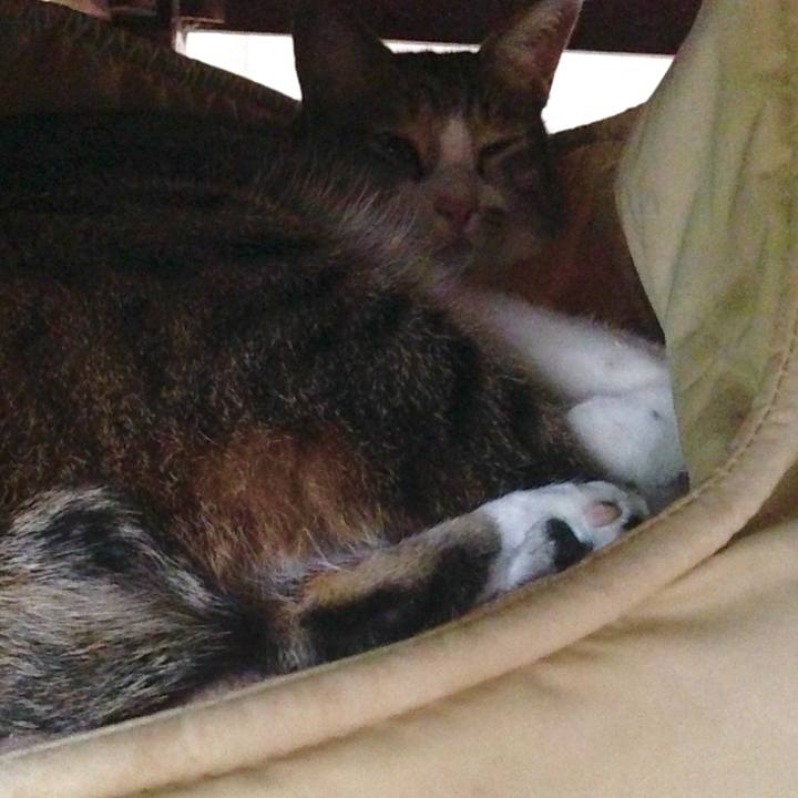 108db5dc 09d8 4618 a523 f9751d24694e