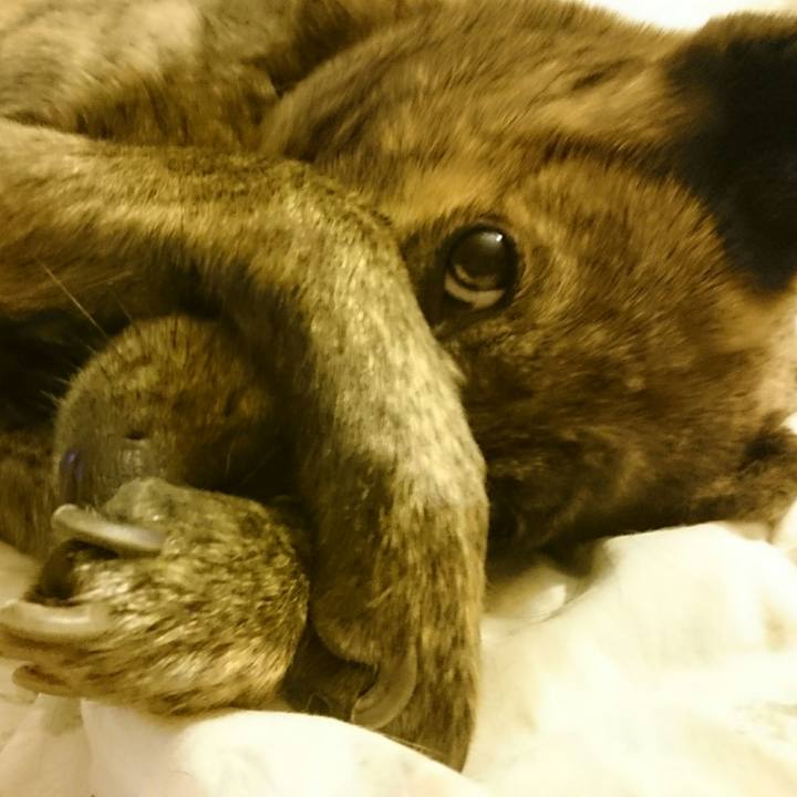 108df408 3b8b 42b3 abd9 c5859dc6f9f1