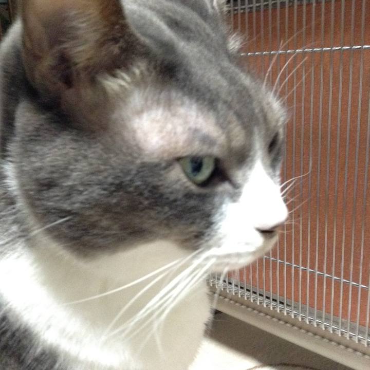 108e3929 fe00 4b14 9ff1 1054ebd36693