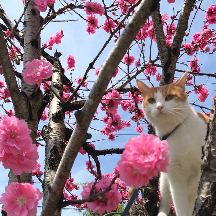 108e3a29 71cc 4572 a6f7 d04bb18a55d1