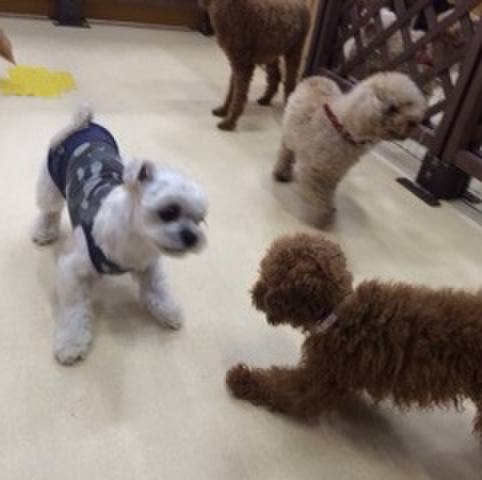 108f3124 5e87 4cdc 9640 caa50964f4b6