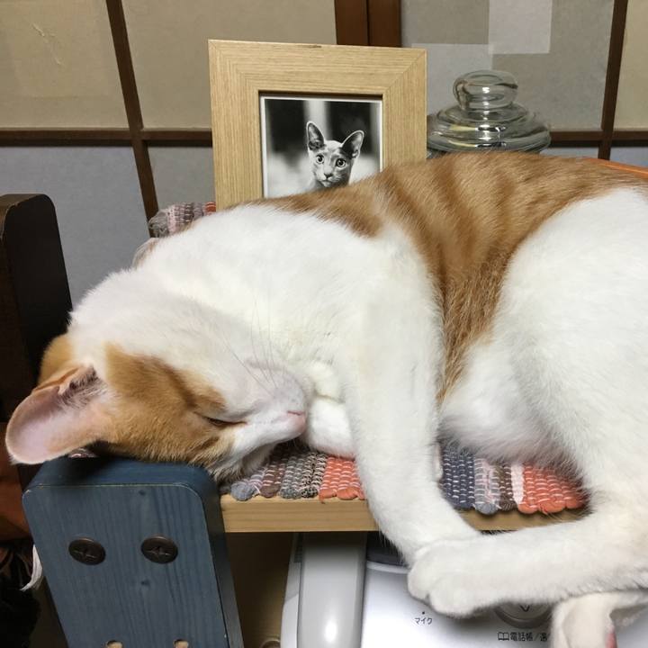 108fd1aa d640 4c50 8824 096ba751355d