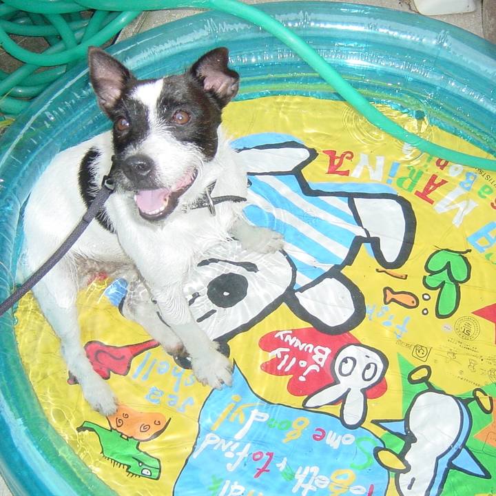 1090097e 5bad 402a bef8 bc0a531a0f4a