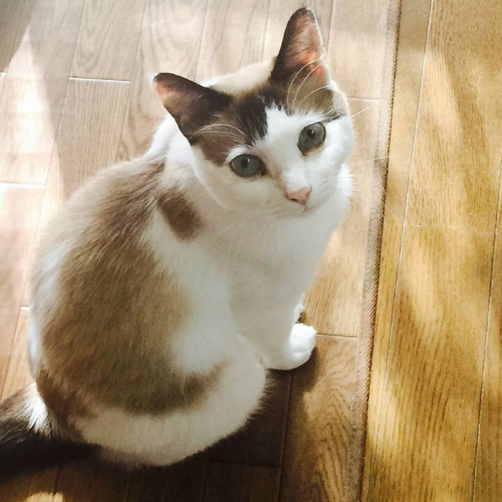 109037a7 e996 47eb 8684 c67a7b24229a