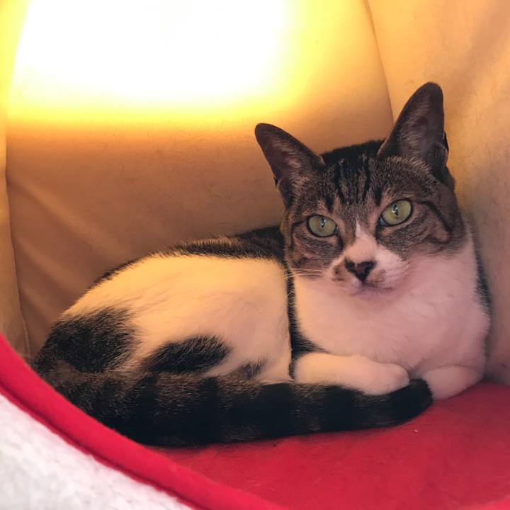 109065d3 96c3 42f2 b4cd 1397522bdceb