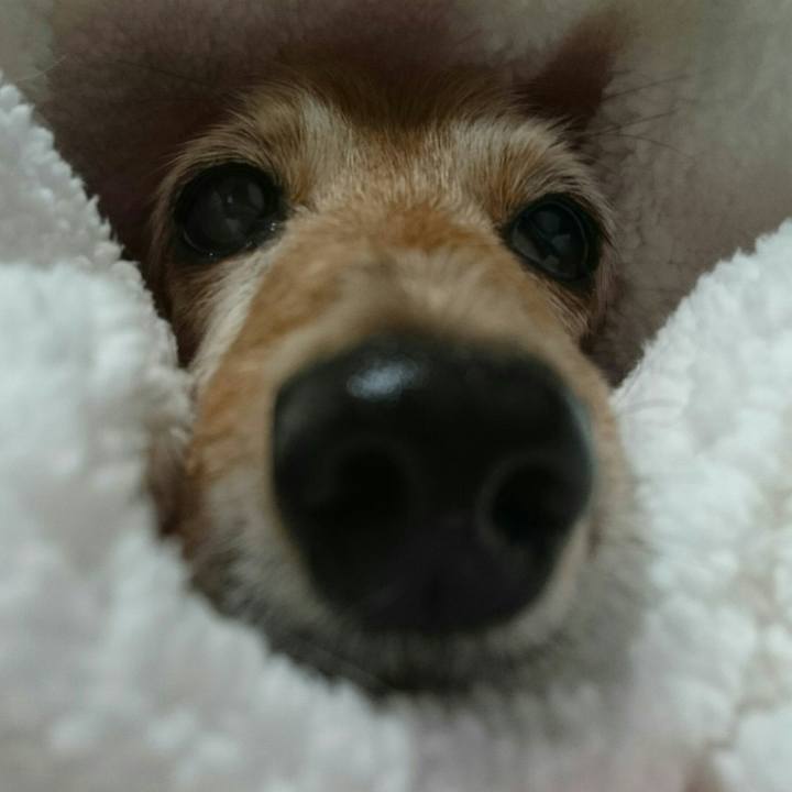 1090810a 9bb6 46b4 977d 8ad5b92709b4