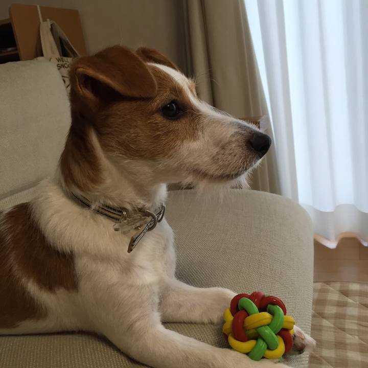 1090a5d2 636e 49f0 baf0 4aac324322fd