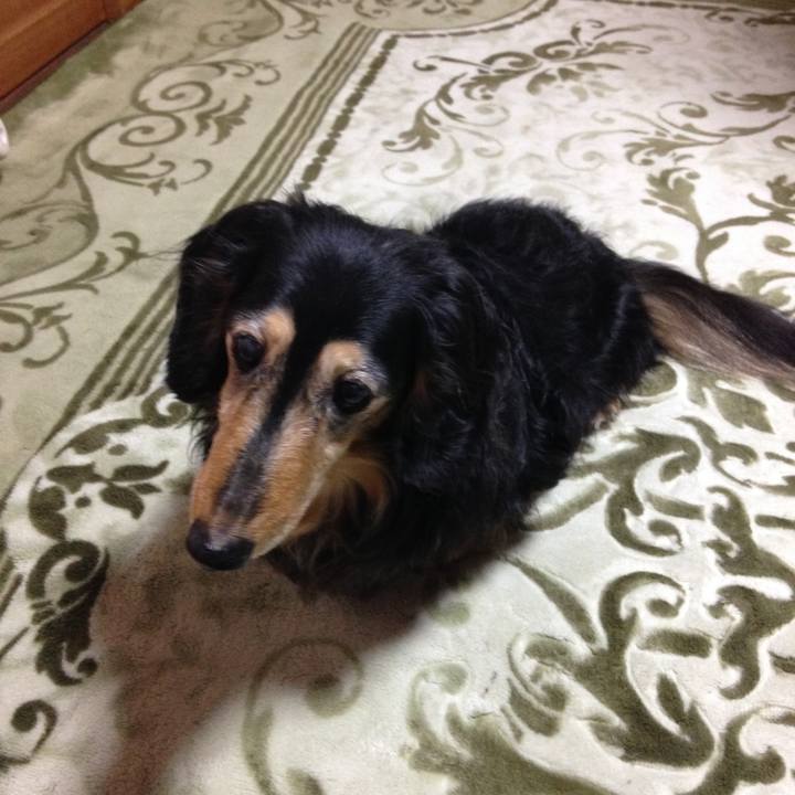 1090b30d c60b 4c94 8fc5 af91e0dc2805