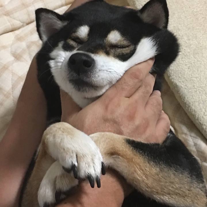 10915458 008e 4c6b 8dd2 8d1828f13286