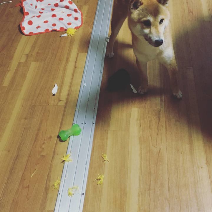 10918c2f d391 4cf4 bef8 2926de781f35