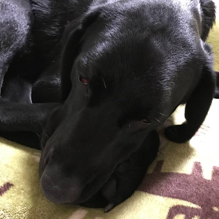 10926d83 3b58 4861 8555 4e8e9c71d94f