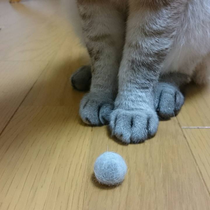 1092ca29 3dd6 49e8 928f 7ad1ae16e646