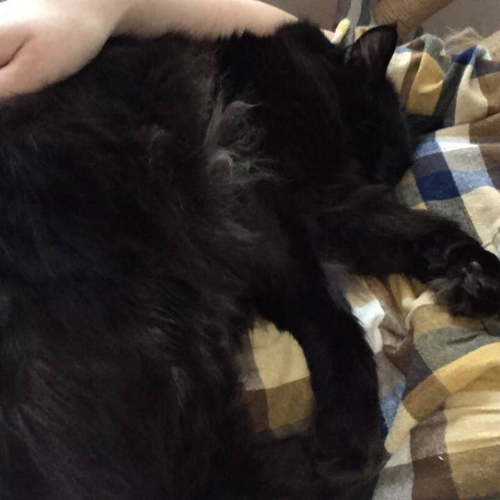 1092f5e6 c76b 408c ba2b 604e78f0a0b7