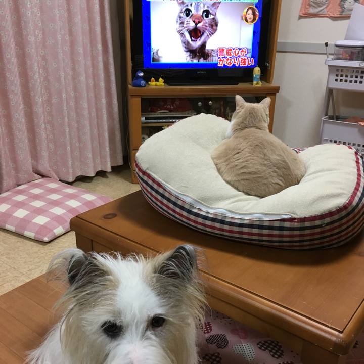 10931d0e 191b 429a 9df6 5f3848b456a3