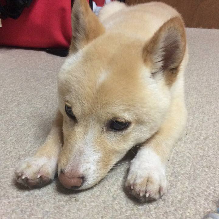 10937cdd 31b2 4f91 b45a 7c15d7f7273d