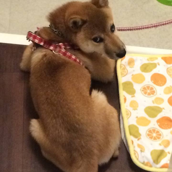 1093b891 c347 4777 b18f 1ac926e6a54b