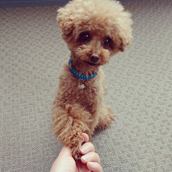 1093ce7a bc08 4b66 8a25 4515fa6ab0e6