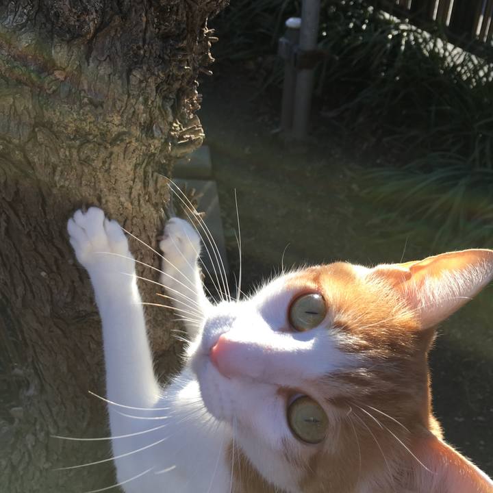 109512d5 f416 4cfd 9f25 1600eef45ce0