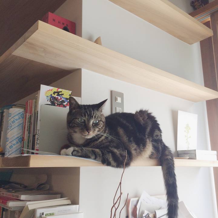 1095f553 ef19 4637 81e3 fc9f299a8f76