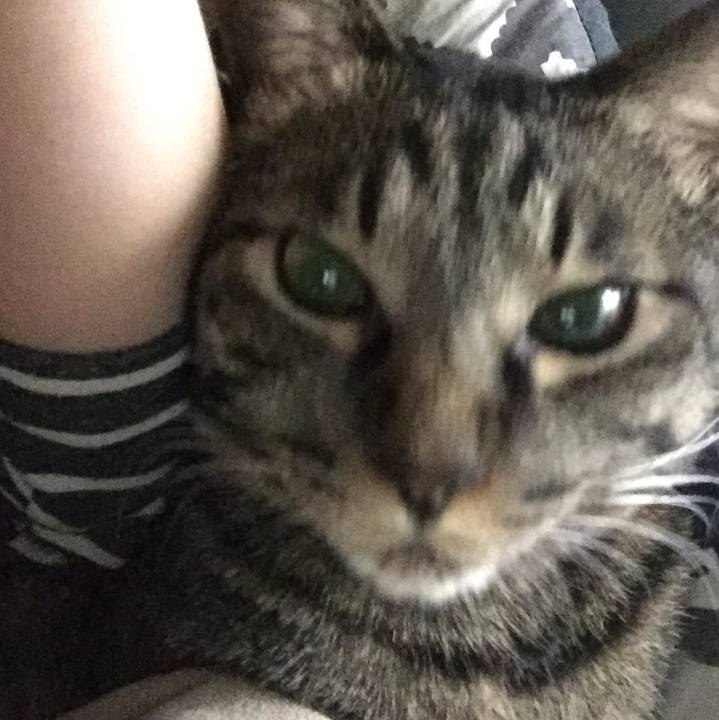 10962e94 9bc1 4df8 9c8d 2be1acaee028