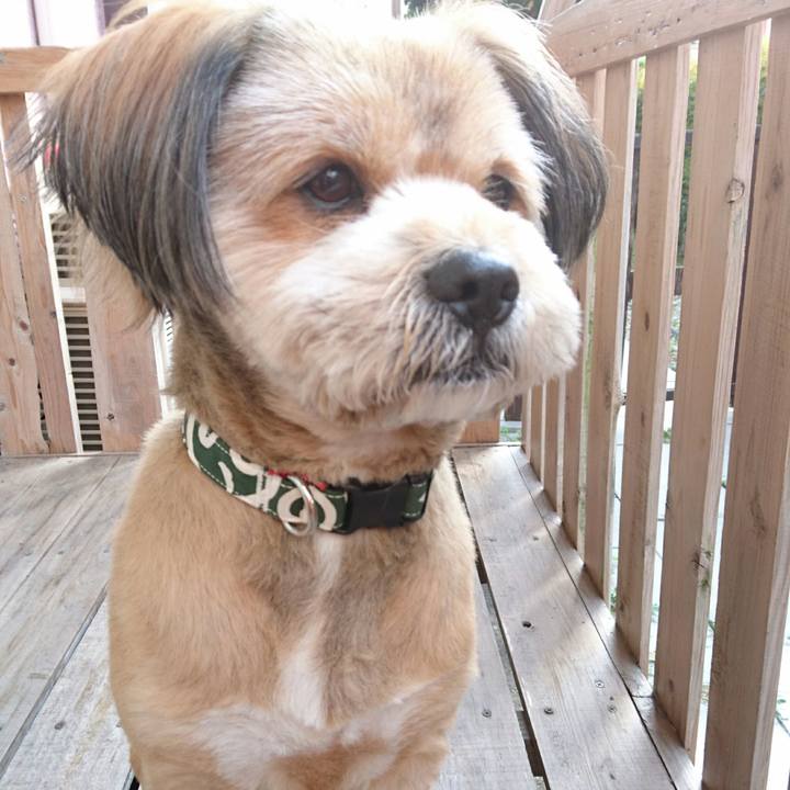 109668c8 7c9a 463b 9494 dc0199f87ed2