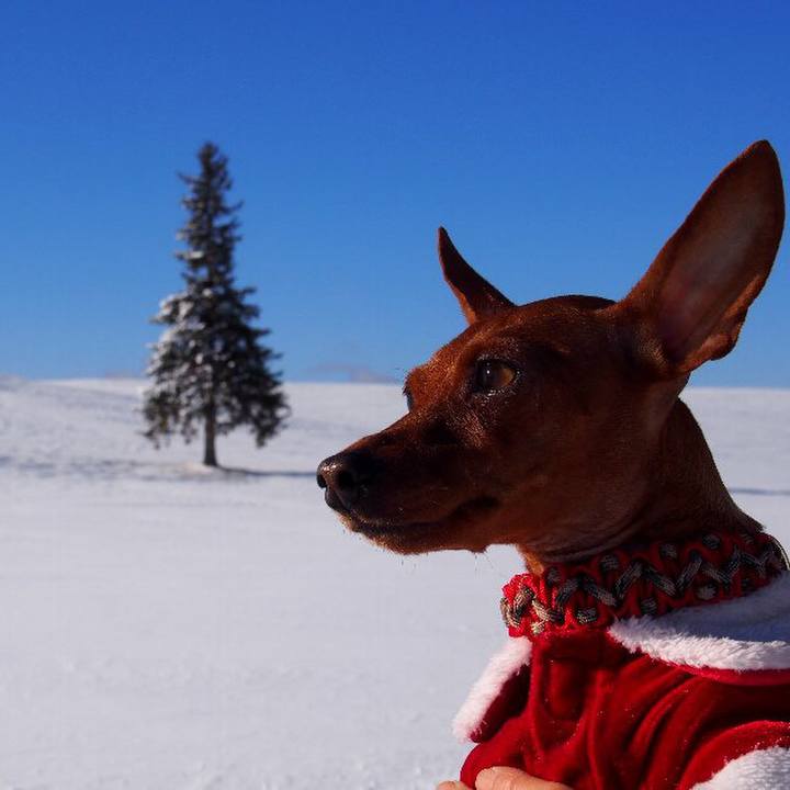 1098a986 3a74 4582 9c12 0c2943acc362