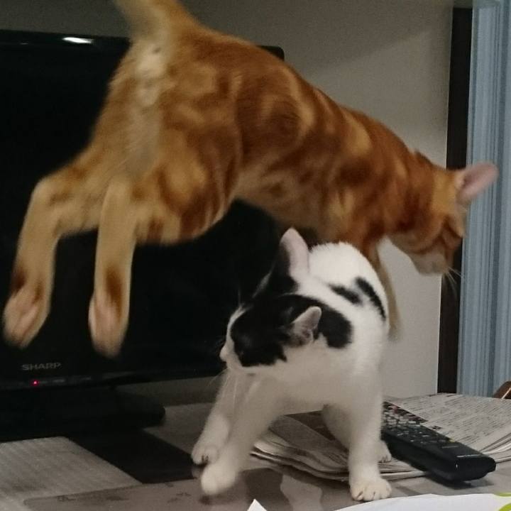 1098be87 1a9e 466b 901b 2d98e3514a30