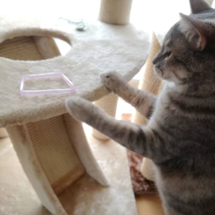 1099209a 223a 488e afcb 129acb230a20