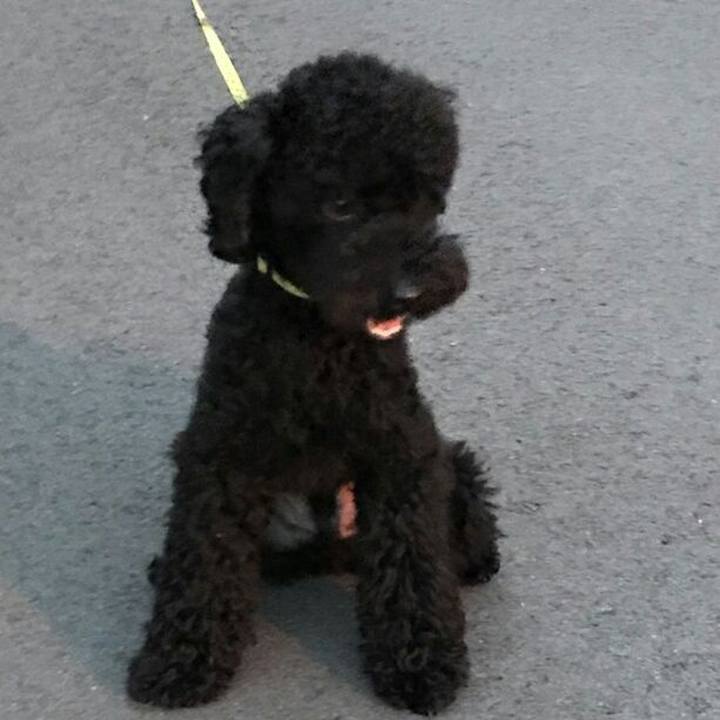 10992d66 db1f 47d2 9a07 8ba7b24769fa