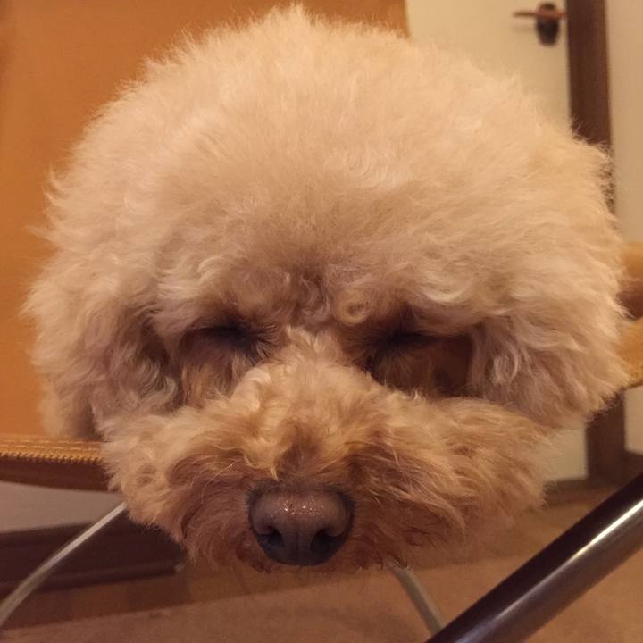 1099e89d 81d8 40c6 9148 bacdb25f89c5