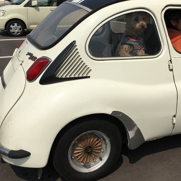 109a1c1b 6cd3 49ea 9cd2 98f7f7e205af