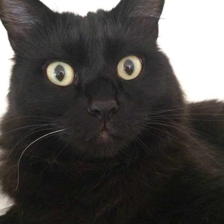 109a5117 3079 48dc 8b39 eb42389647fa