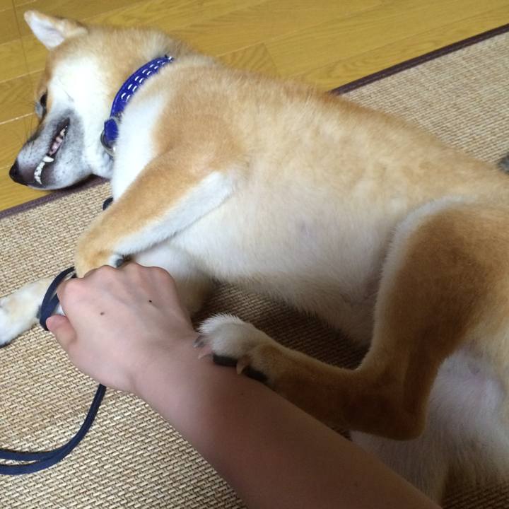 109bd7a8 62c1 4800 adcd e48c6ccbfc30