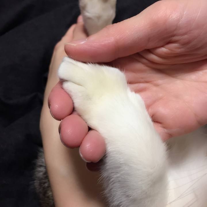 109cc20e 4975 4ba1 b3ec 2f5ca8d1b48b