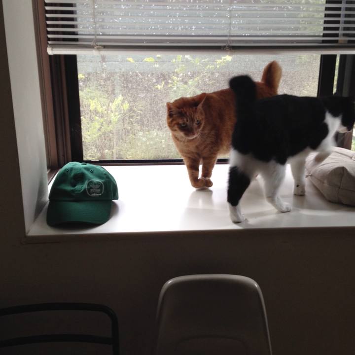 109d58c2 e8d1 424c 8790 525ca77bf20b