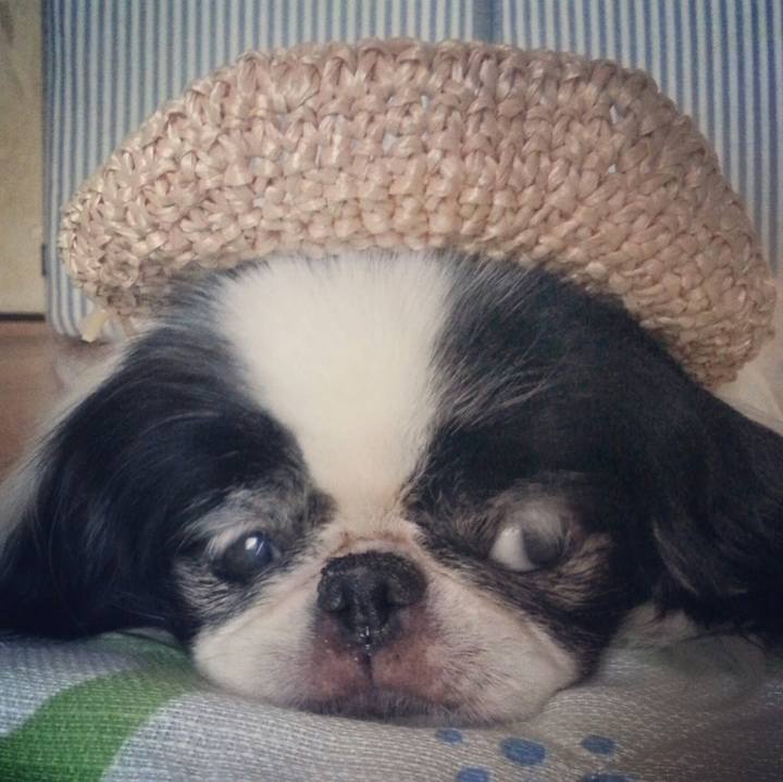 109d96c0 26c3 41a0 88dc 39c8112ab047