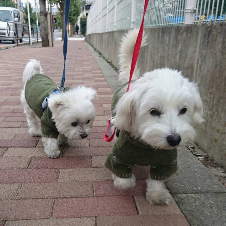 109dd18a df35 4ae3 a8eb cbbb23dbac8b