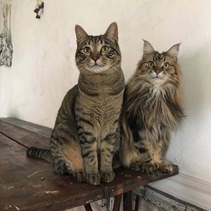 109e0122 9b32 40ab ba34 7d3eee792f37