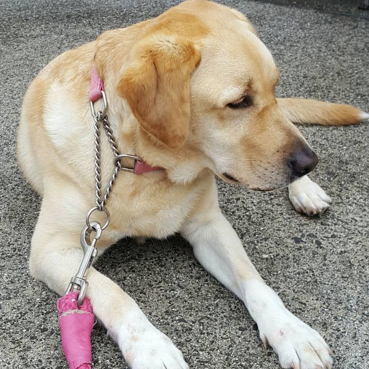 109e446a 4bca 40d9 87e6 15c34574df17