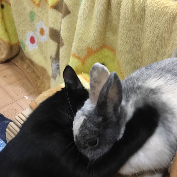 109ea2a5 b1e9 4120 9edf e51fada7a4cb