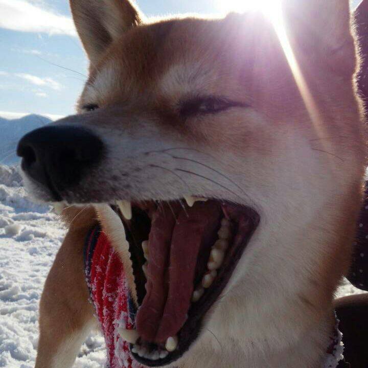 109ee106 8936 4332 9425 9f7eb7c0755d