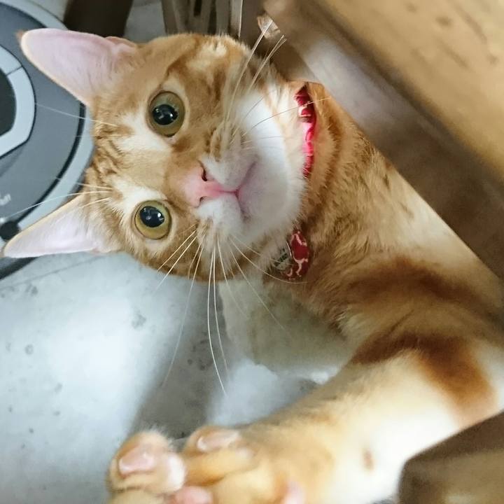 109f8ee3 f7ee 4b10 bbf9 ba5f38216d17