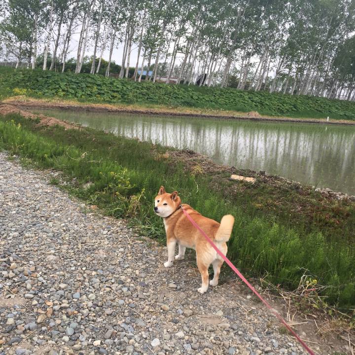 10a0259b 2b41 4446 aec2 ab7046eaa9c4