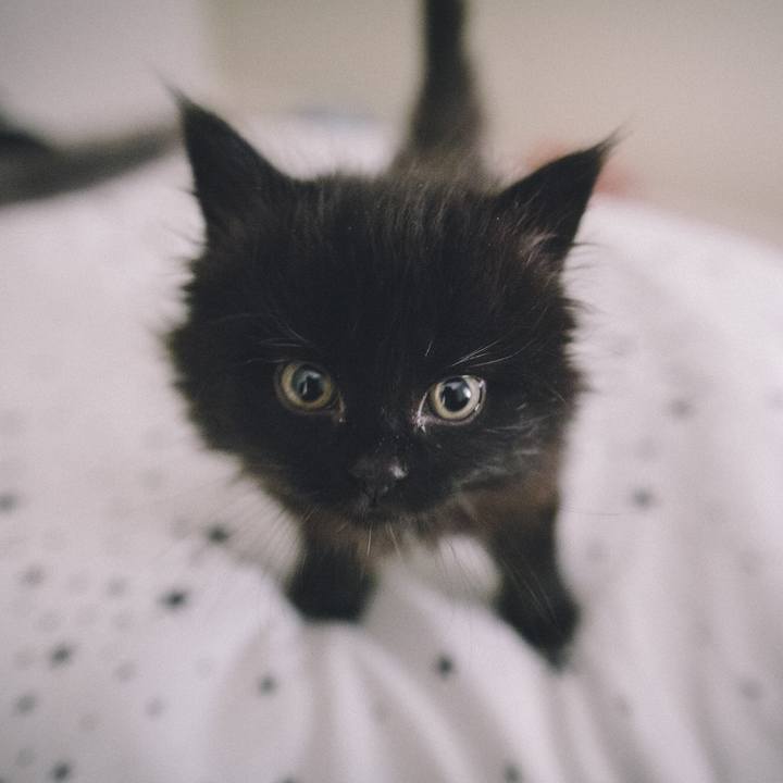 10a07af6 f93d 44a1 930c c24b41e42b37