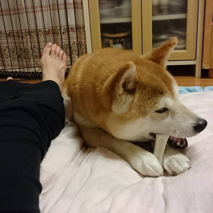 10a09f04 5b7e 4ae8 a11a d3231620ec99