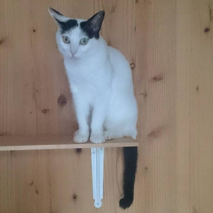 10a0fcdb 5019 40b5 9bd8 e82f2eb7c5b1